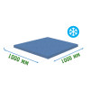 Резиновая плитка 1000x1000x10 мм для холодных помещений Ice